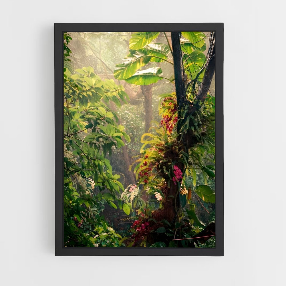 ap-amazon rainforest-10 cadre Noir
