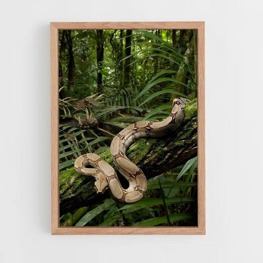 ap-amazon rainforest-14 cadre Bois clair