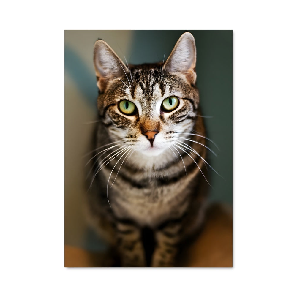 Poster Chat Émeraude