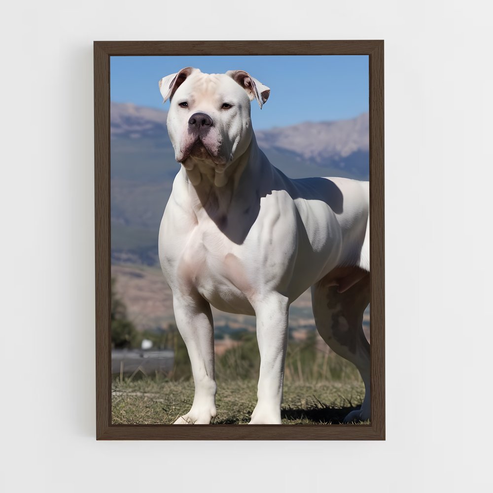 ap-american bulldog-2 cadre Bois foncé