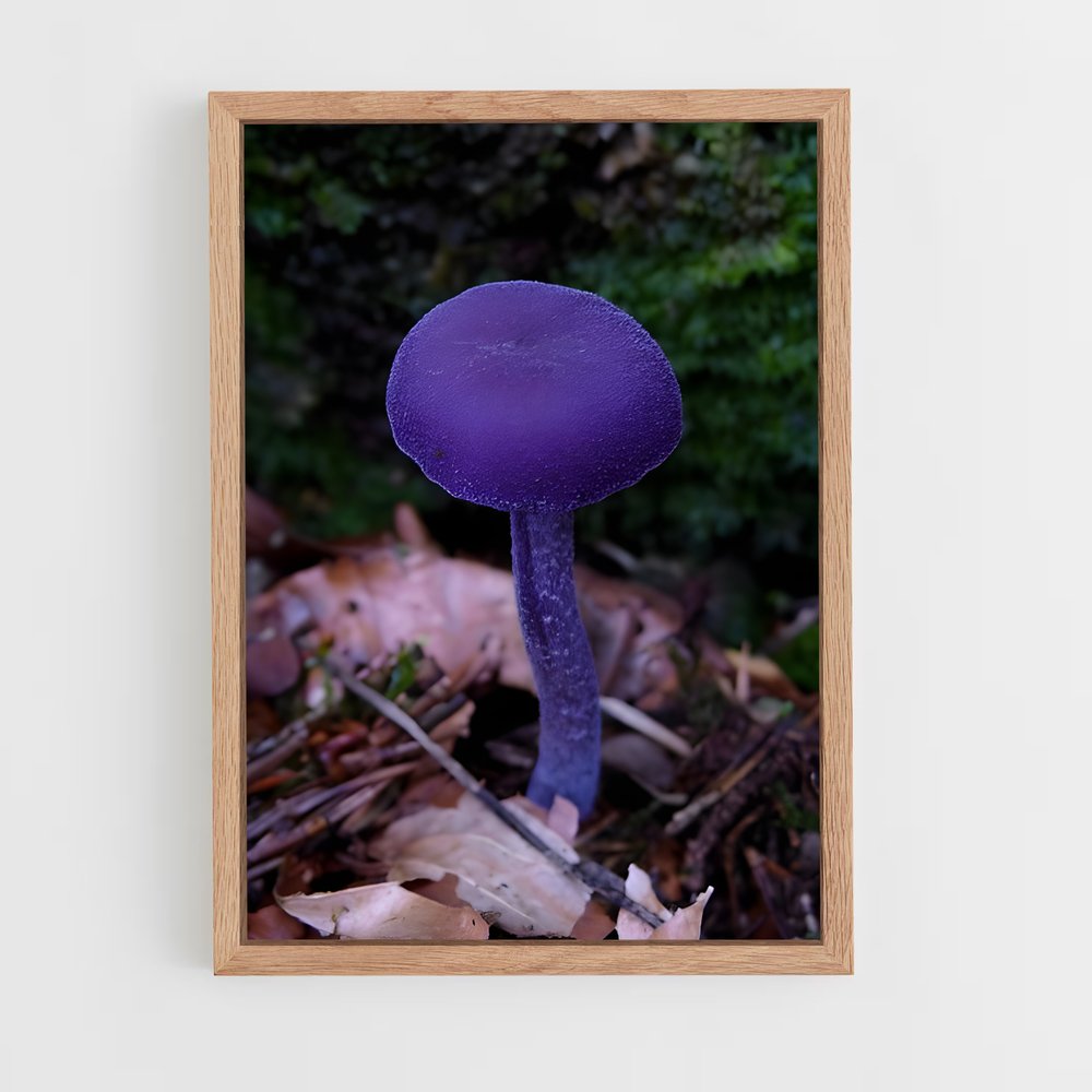 ap-amethyst deceiver-1 cadre Bois clair