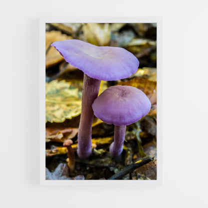 ap-amethyst deceiver-2 cadre Blanc