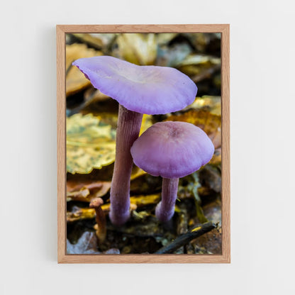 ap-amethyst deceiver-2 cadre Bois clair
