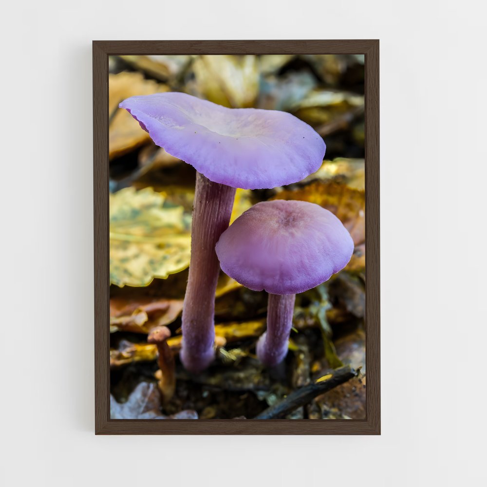 ap-amethyst deceiver-2 cadre Bois foncé