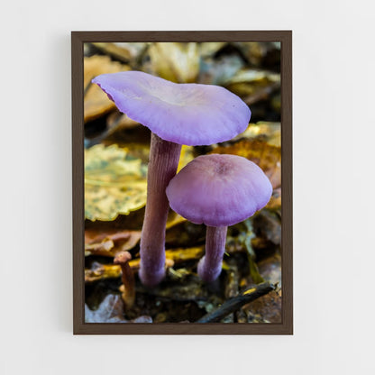ap-amethyst deceiver-2 cadre Bois foncé
