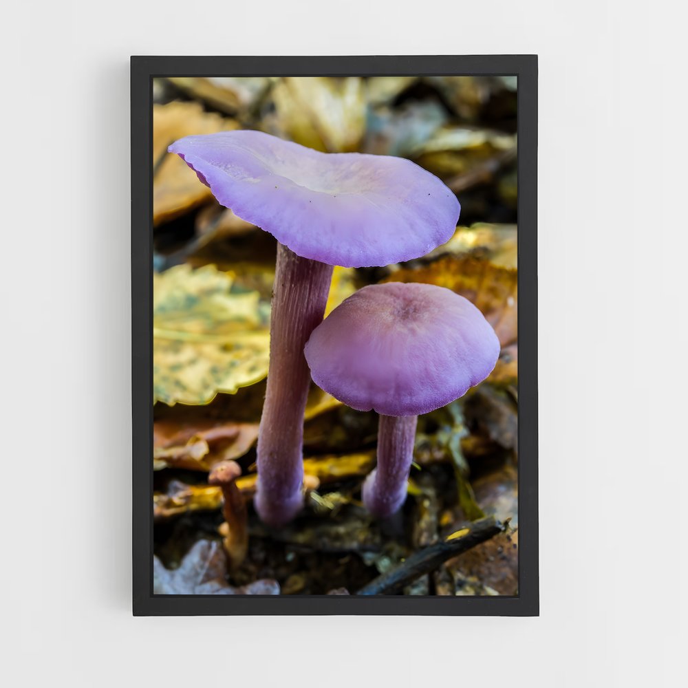ap-amethyst deceiver-2 cadre Noir