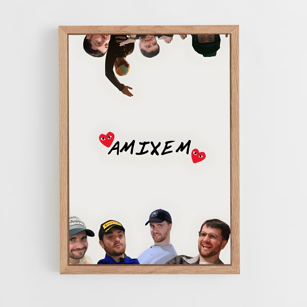 ap-amixem-1 cadre Bois clair