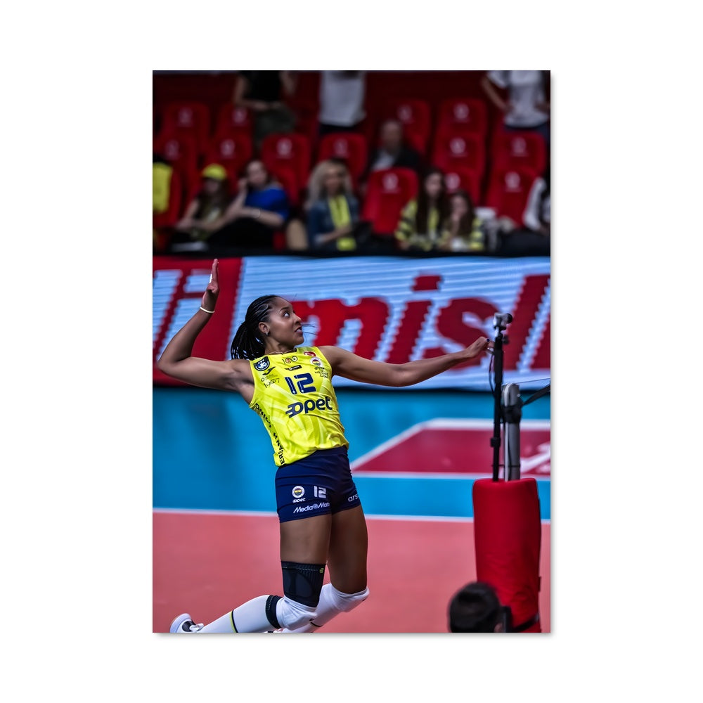 Poster Ana cristina souza 74901