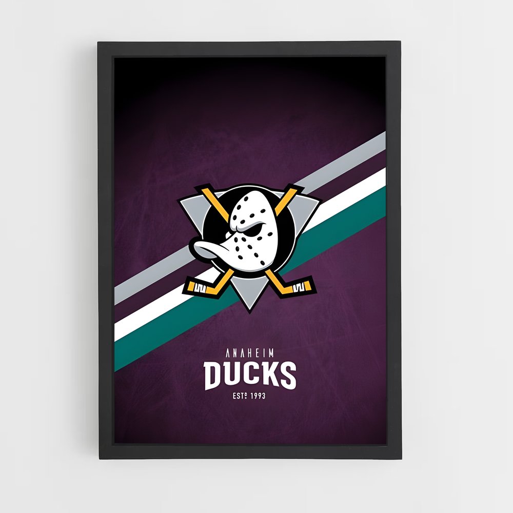 ap-anaheim ducks-5 cadre Noir