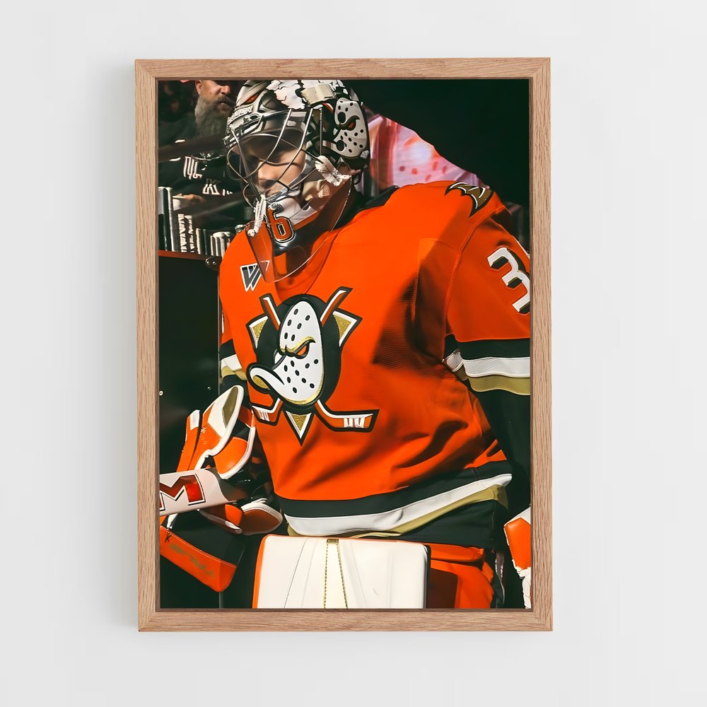 ap-anaheim ducks-8 cadre Bois clair