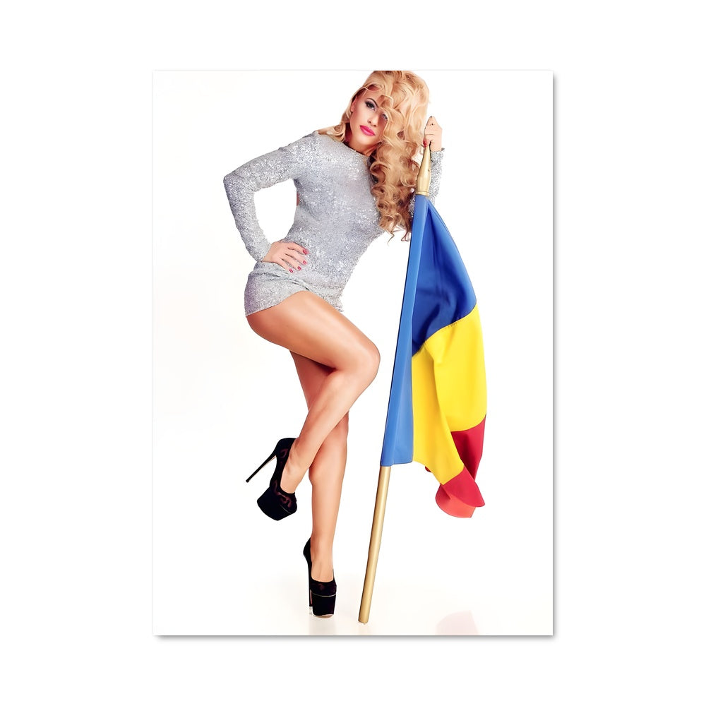 Poster La Drapeau Argenté