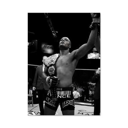 Poster Anderson silva 62030