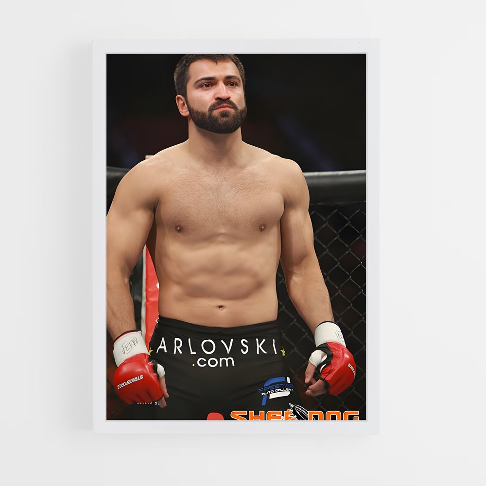 ap-andrei arlovski-1 cadre Blanc