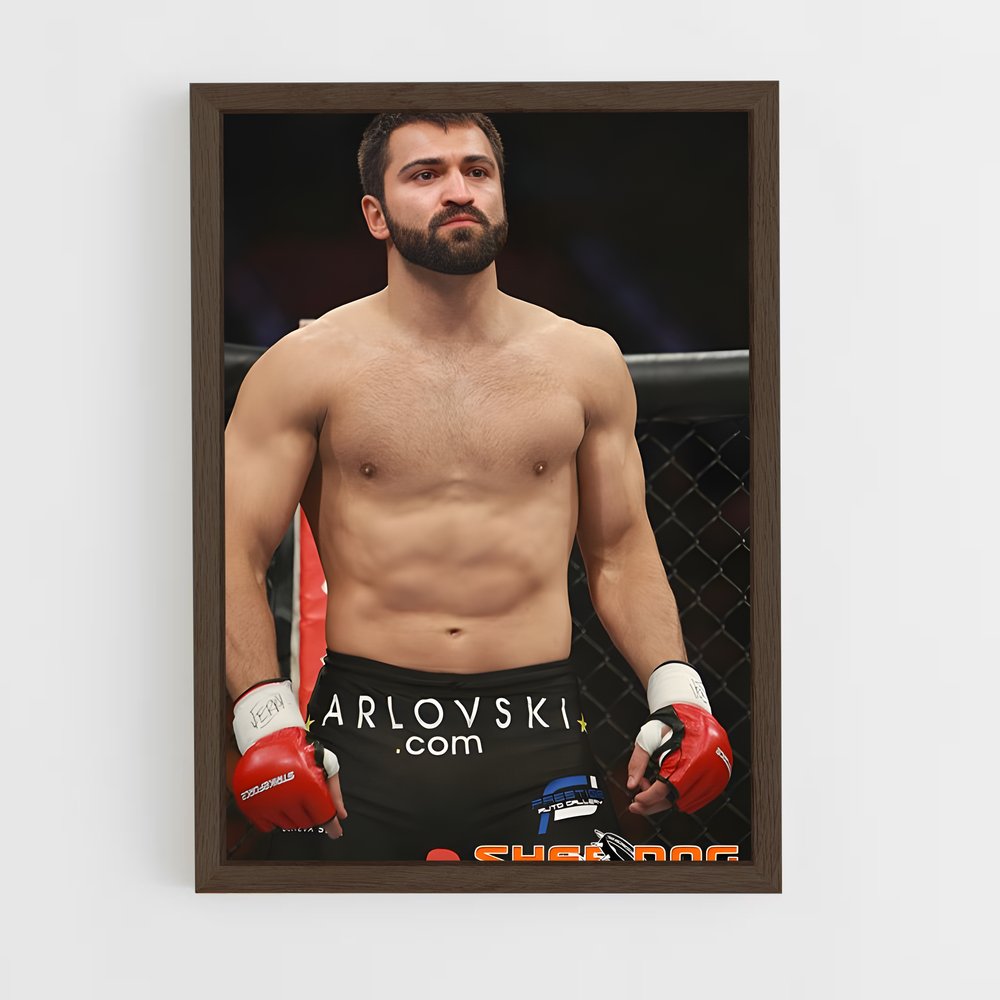 ap-andrei arlovski-1 cadre Bois foncé