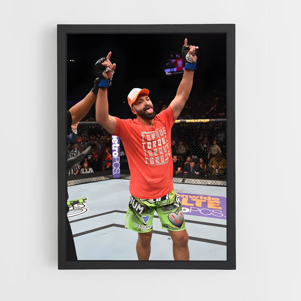 ap-andrei arlovski-3 cadre Noir
