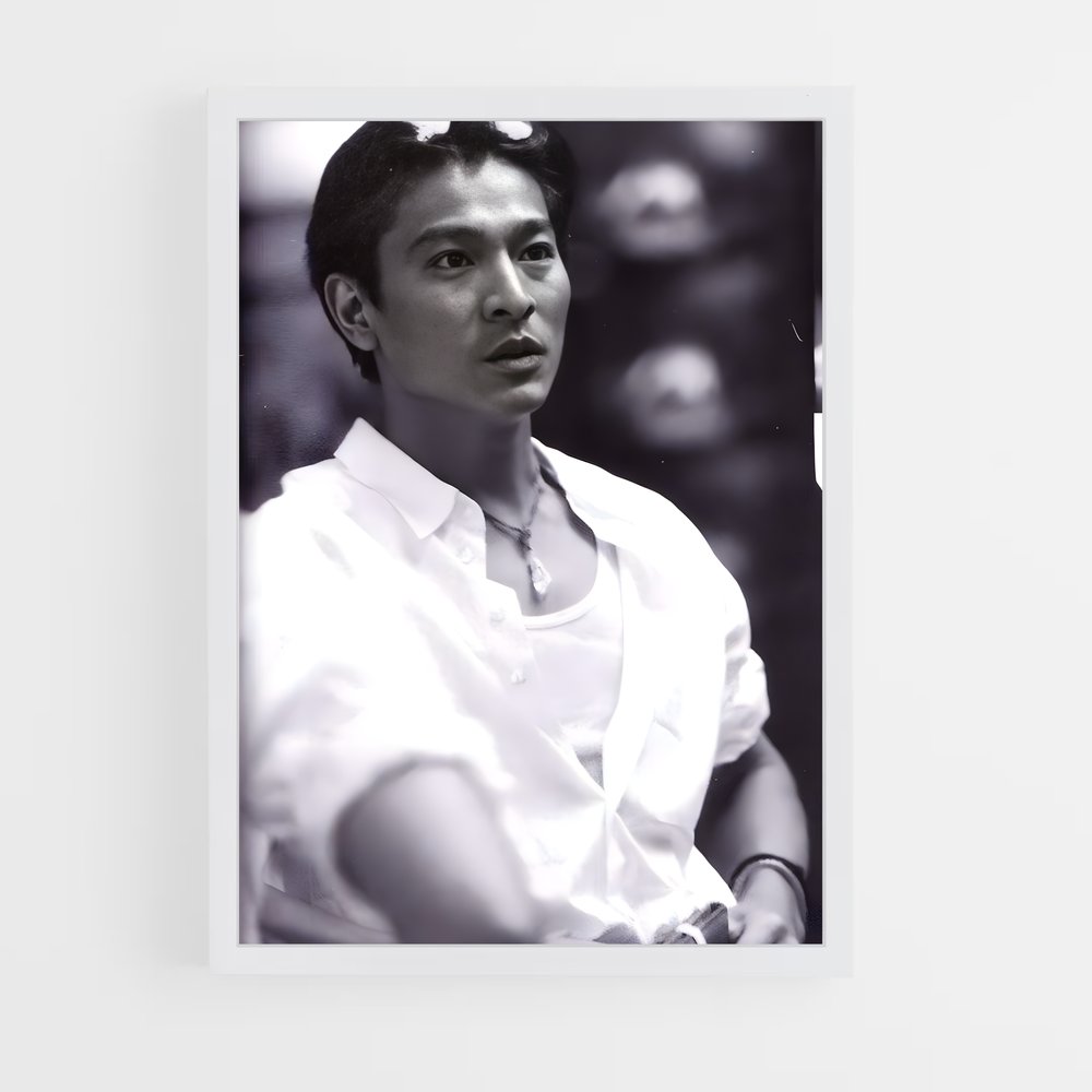 ap-andy lau-3 cadre Blanc