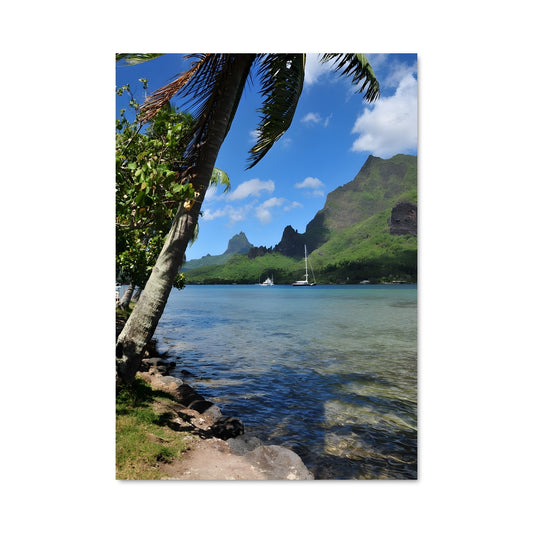 Poster Anibare bay 93514