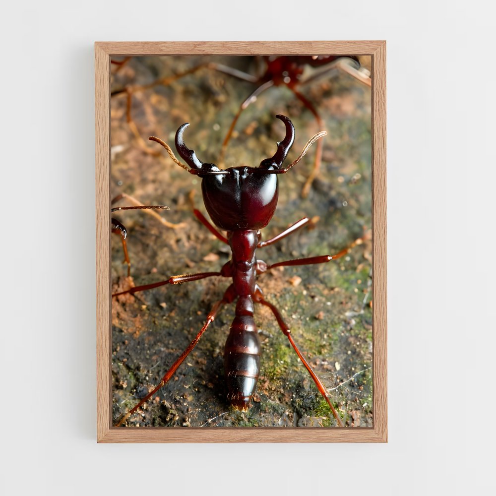 ap-ant-10 cadre Bois clair
