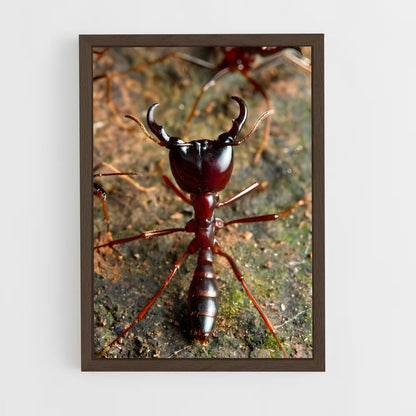 ap-ant-10 cadre Bois foncé