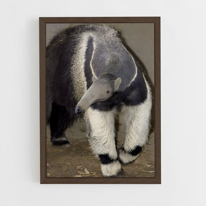 ap-anteater-7 cadre Bois foncé