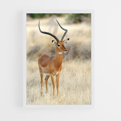 ap-antelope-1 cadre Blanc
