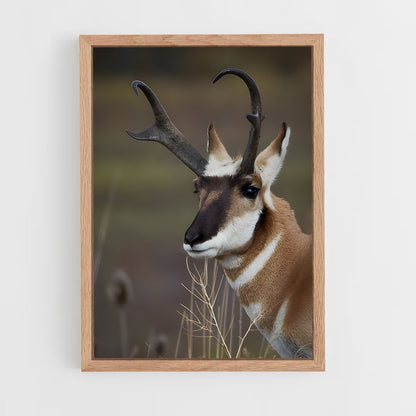 ap-antelope-3 cadre Bois clair