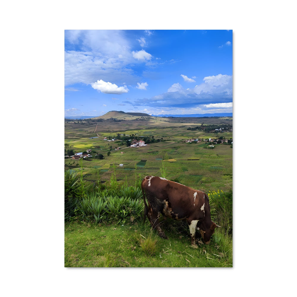 Poster Rêveries Antsirabe