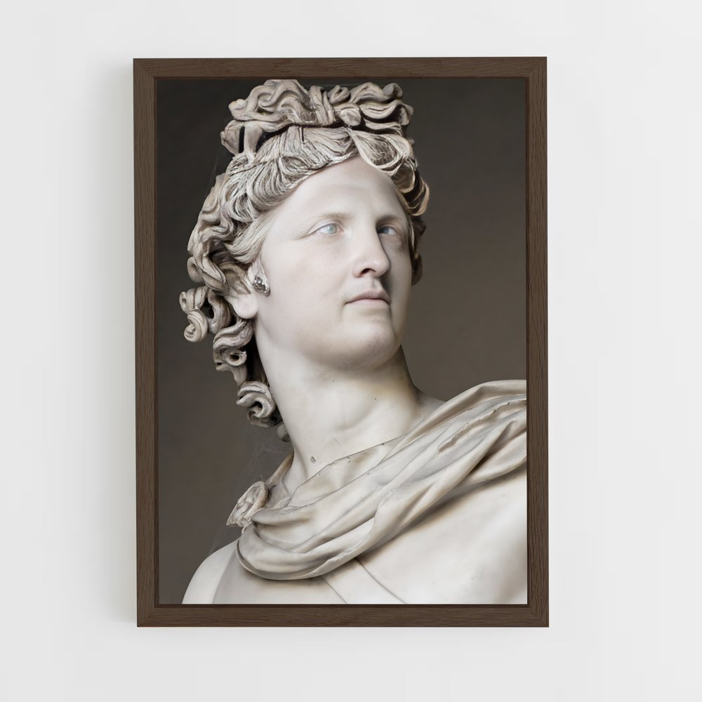 ap-apollo belvedere-1 cadre Bois foncé