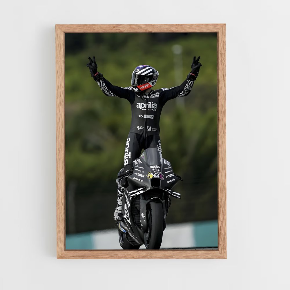 ap-aprilia racing-1 cadre Bois clair