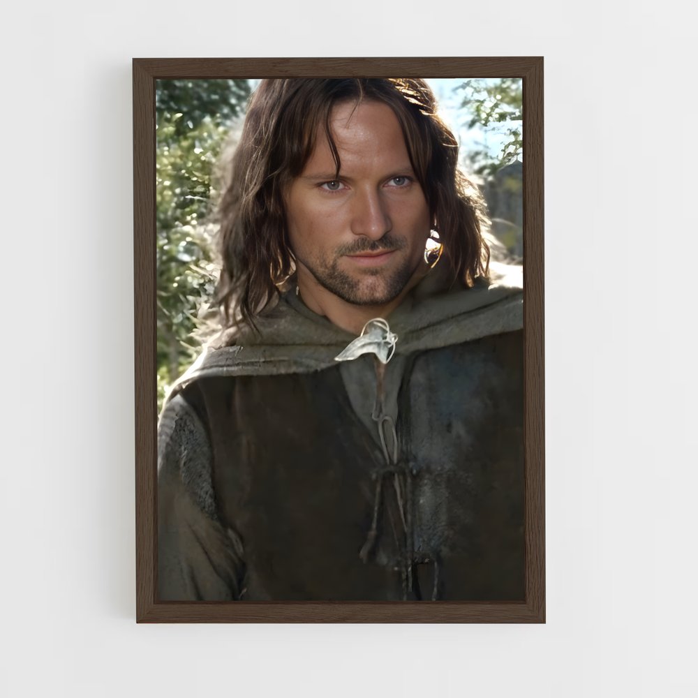 ap-aragorn-3 cadre Bois foncé