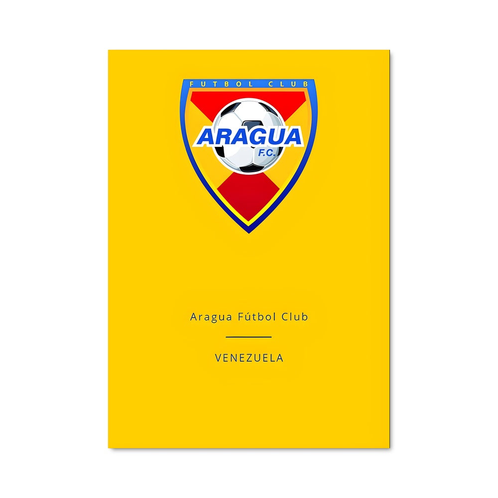 Poster Aragua United