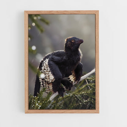 ap-archaeopteryx-1 cadre Bois clair