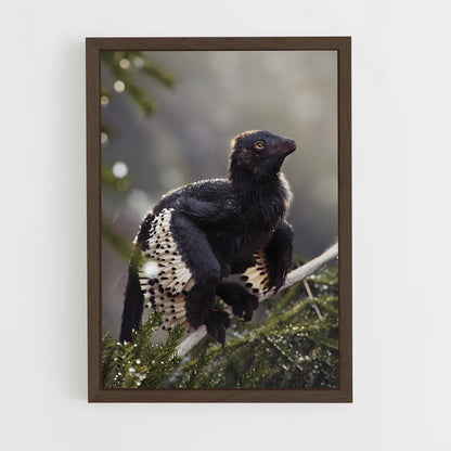 ap-archaeopteryx-1 cadre Bois foncé