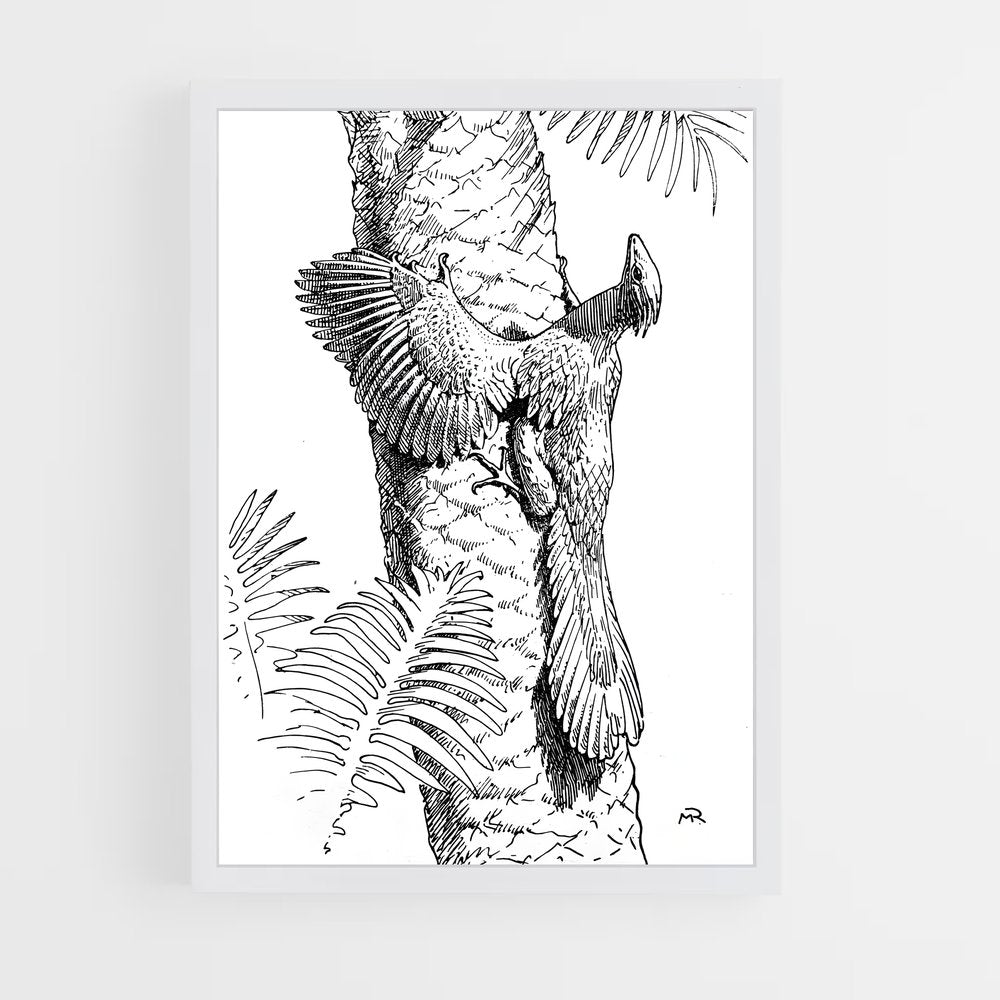 ap-archaeopteryx-3 cadre Blanc