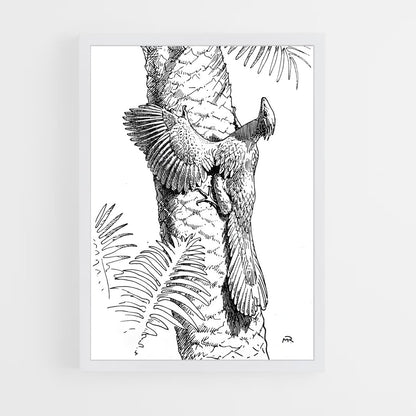 ap-archaeopteryx-3 cadre Blanc