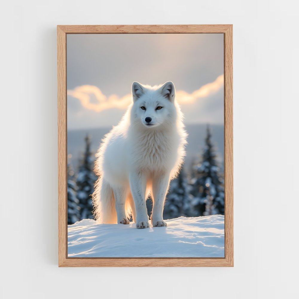 ap-arctic fox-2 cadre Bois clair