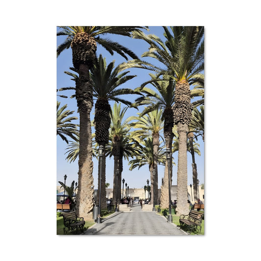 Poster Palmiers en Route