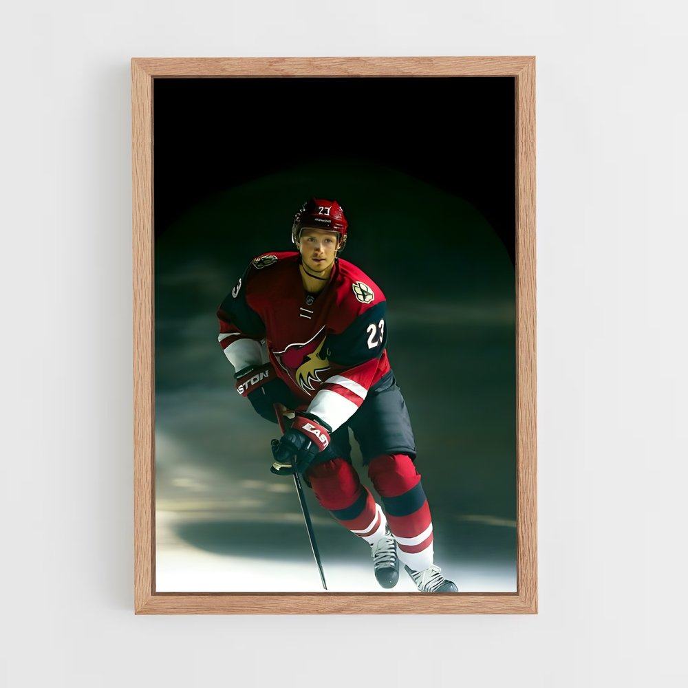 ap-arizona coyotes-5 cadre Bois clair