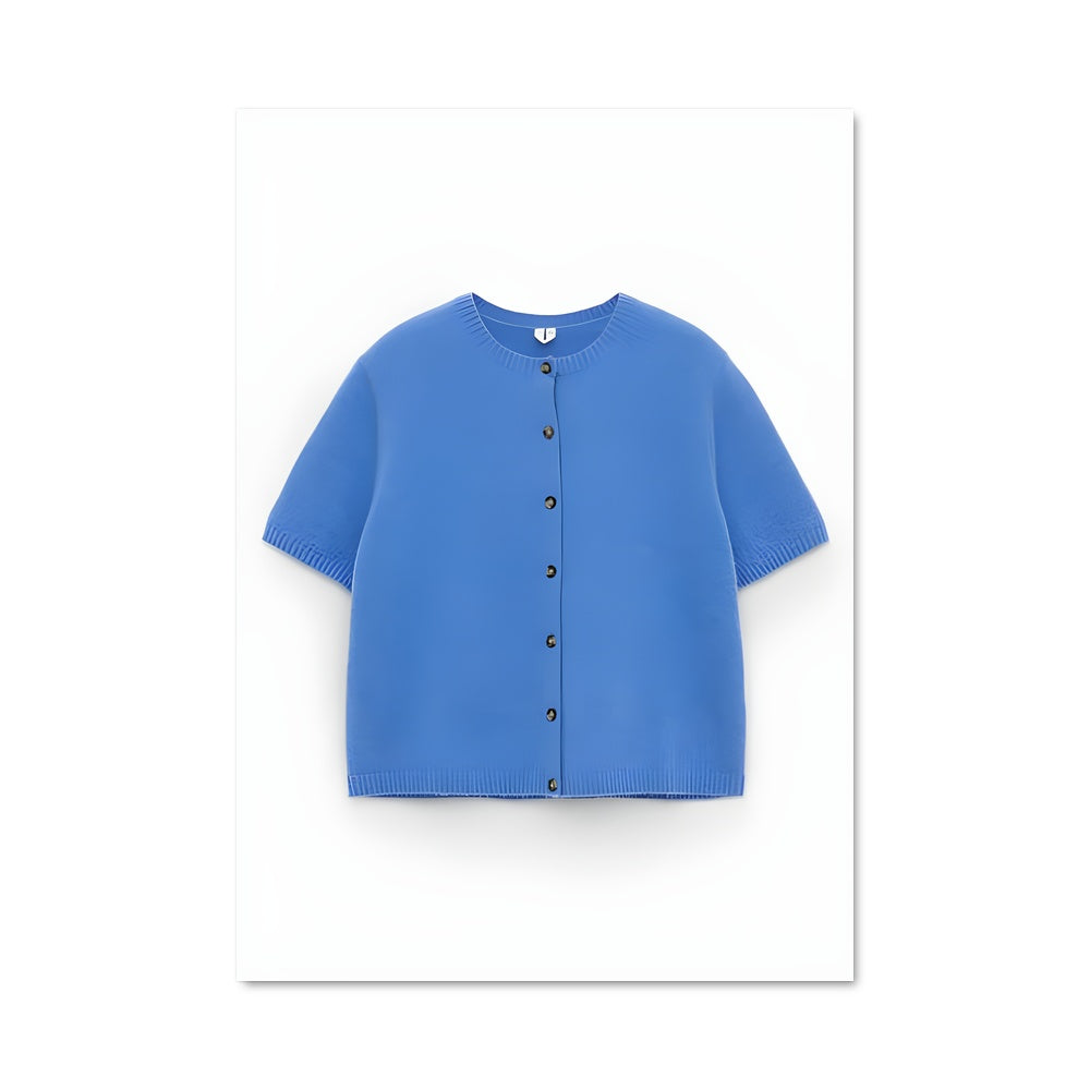 Poster Petit Cardigan Bleu