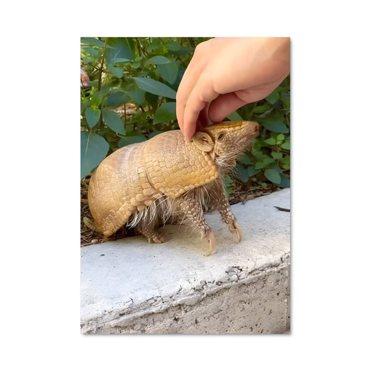 Poster Nourriture Amicale