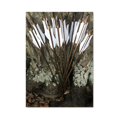 Poster Arbre aux Flèches
