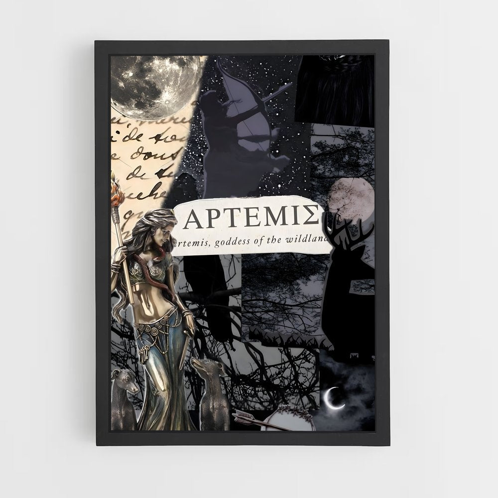 ap-artemis-7 cadre Noir