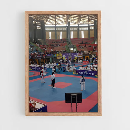 ap-asian games taekwondo-1 cadre Bois clair
