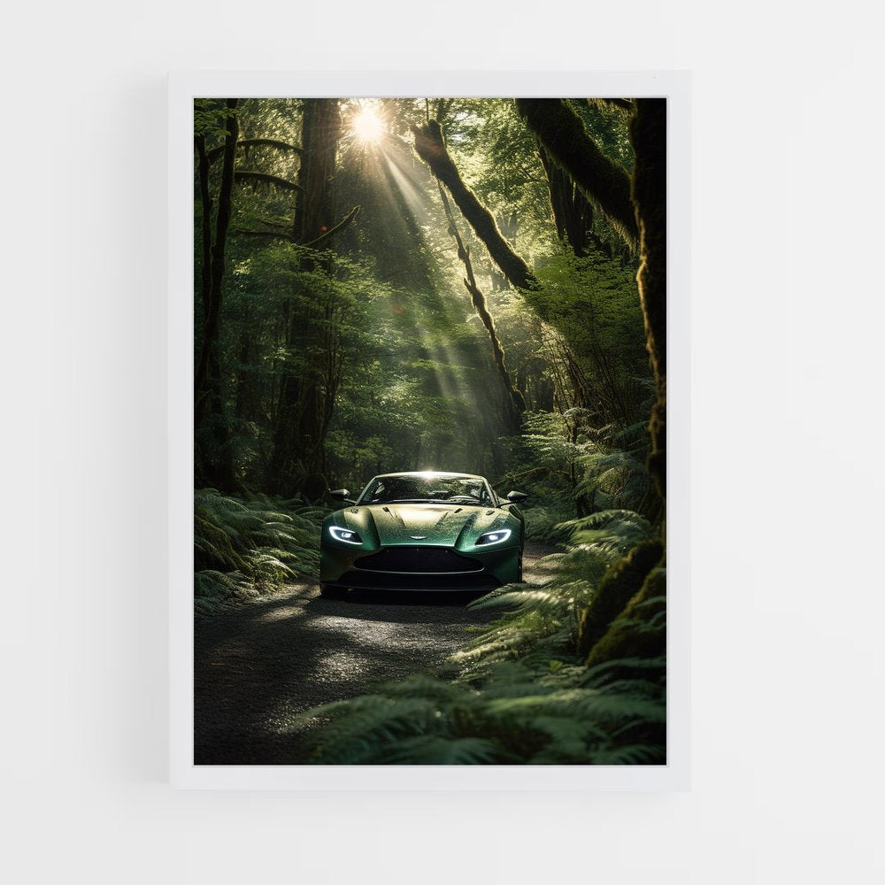 ap-aston martin-7 cadre Blanc