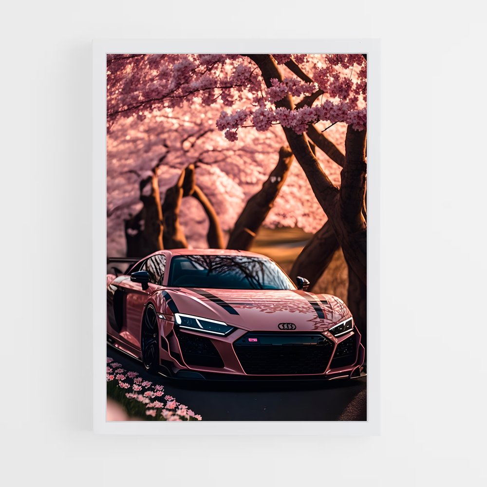ap-audi-5 cadre Blanc