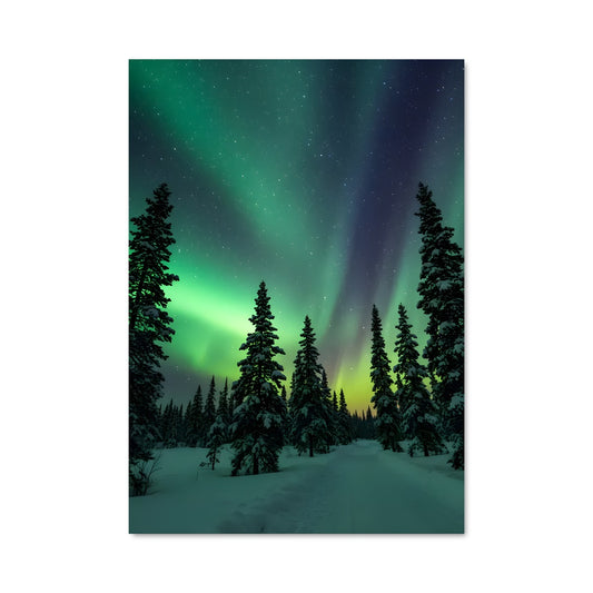Poster Aurora borealis 98125