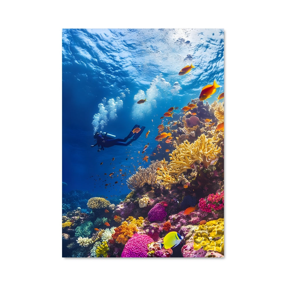 Poster Plongée Coralienne