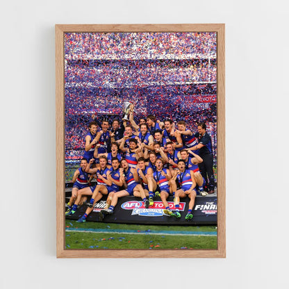 ap-australian football-2 cadre Bois clair