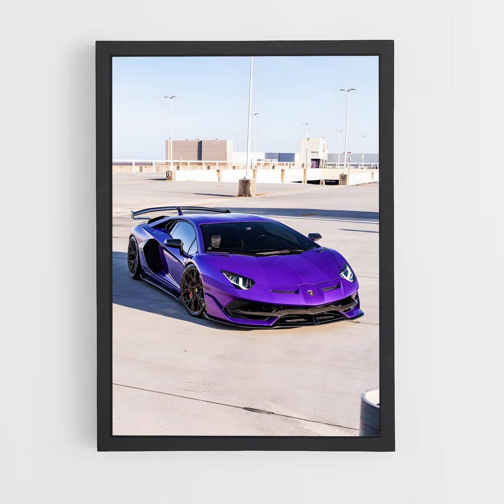ap-aventador-8 cadre Noir