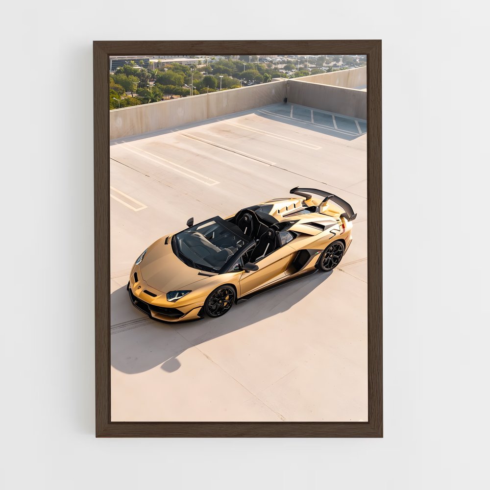 ap-aventador svj roadster-2 cadre Bois foncé